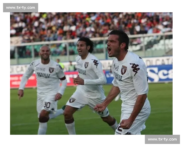 全面解读意大利甲级足球联赛比赛规则与积分晋级机制详解与赛季运作体系