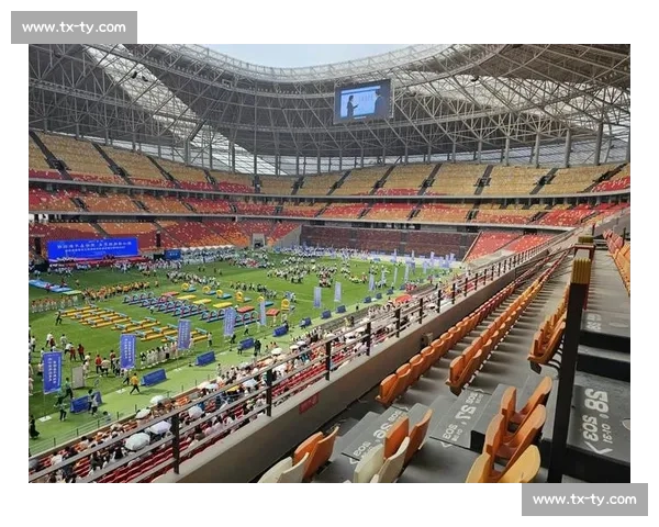 体育赛事知识适合新手吗入门指南与观赛技巧解析全面解读与实用建议