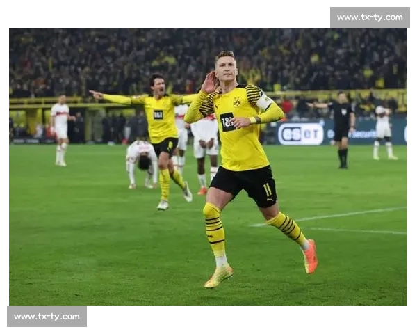 德甲联赛发展历程与现代竞技特色全面解析 - 副本 - 副本 (2)